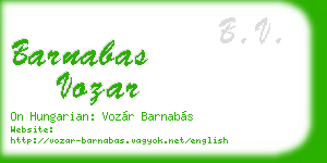 barnabas vozar business card